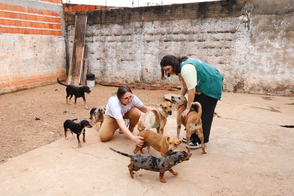 Projeto que resgata animais em Várzea Grande recebe apoio de campanha contra maus-tratos