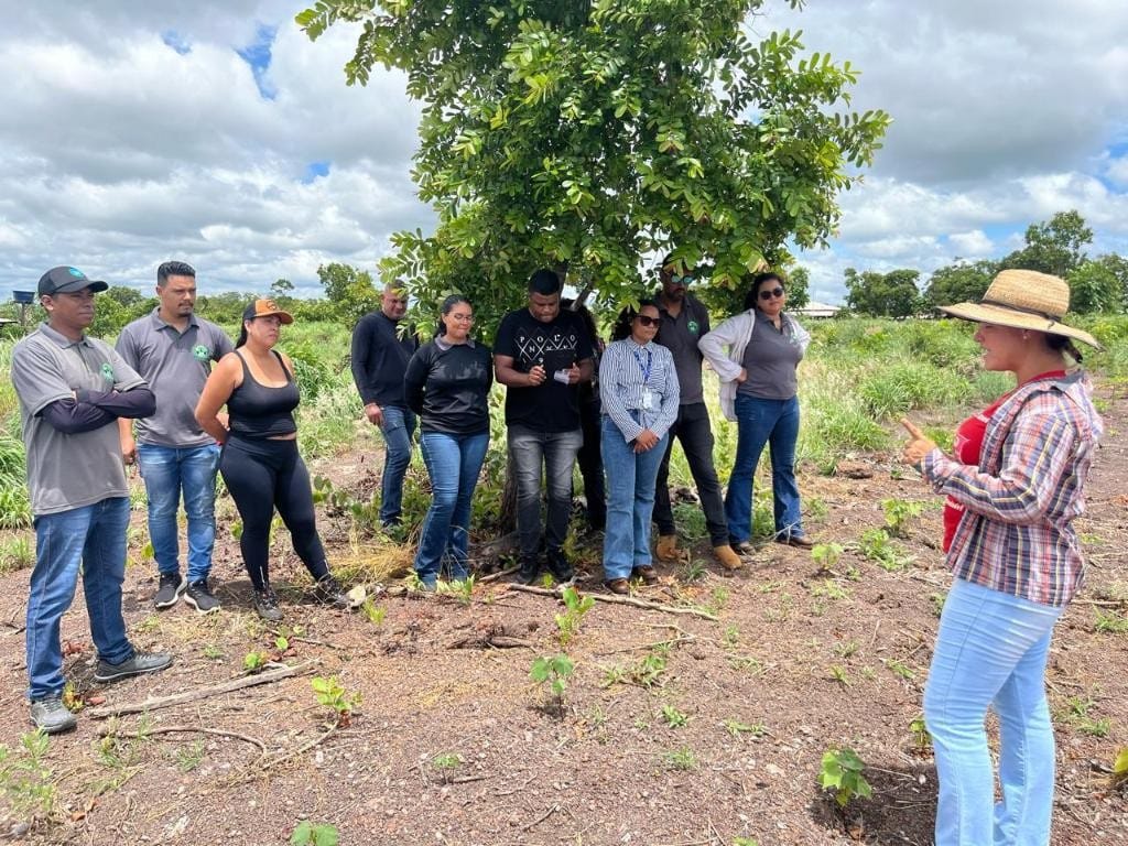 Cursos técnicos em agronegócio ampliam oportunidades de qualificação em Mato Grosso