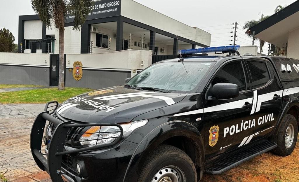 Polícia Civil indicia suspeito de matar gato a pauladas em Rondonópolis