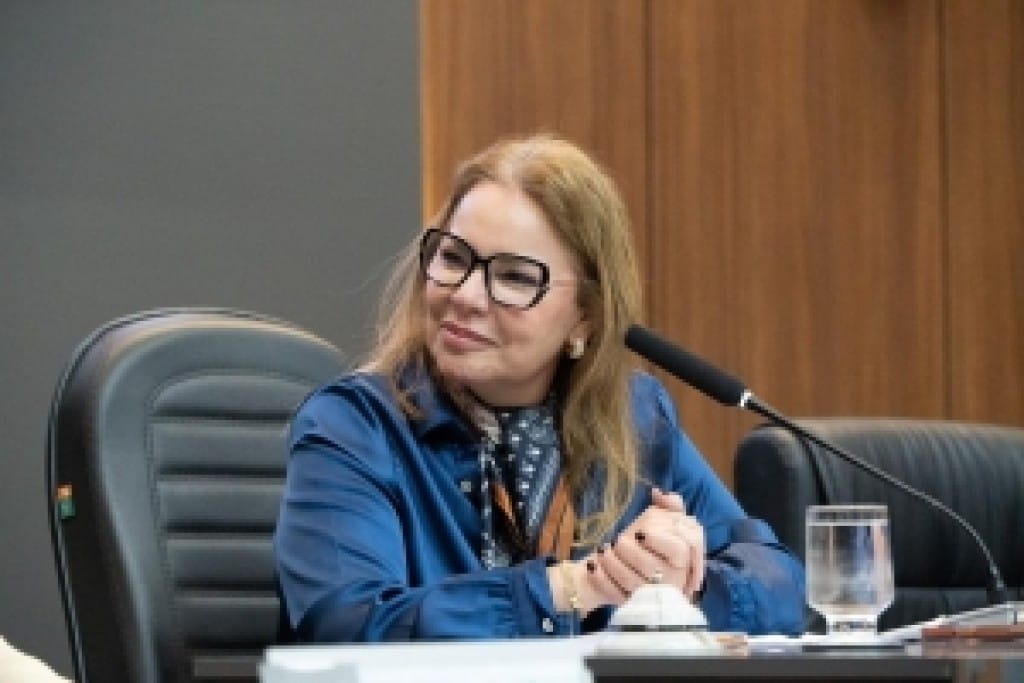 Presidente apresenta projeto voltado ao fortalecimento de associações e geração de renda em Cuiabá