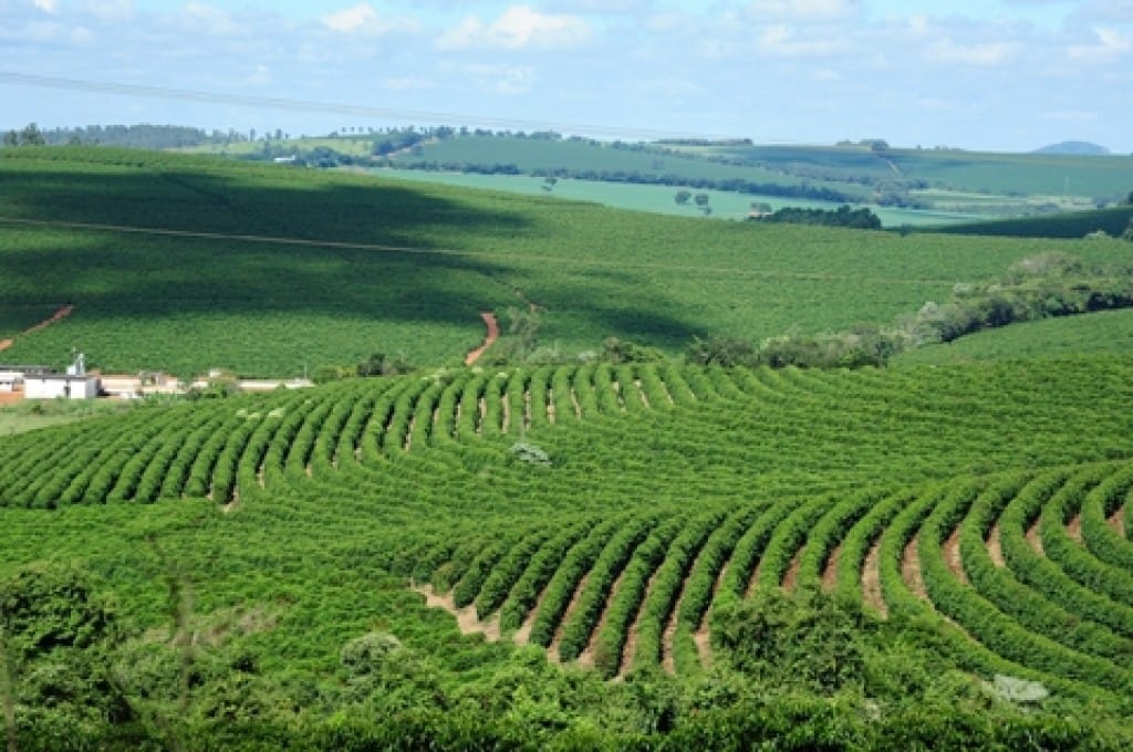 Agro avança, supera mineração e reforça peso nas exportações