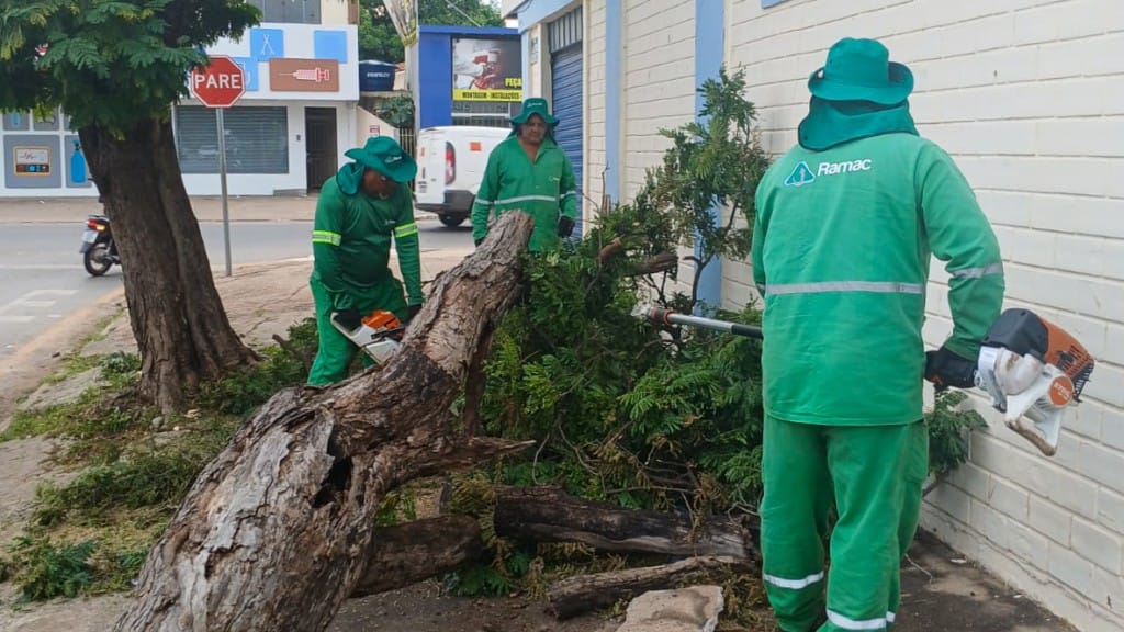 Força-tarefa leva melhorias urbanas a diversos bairros nesta segunda-feira