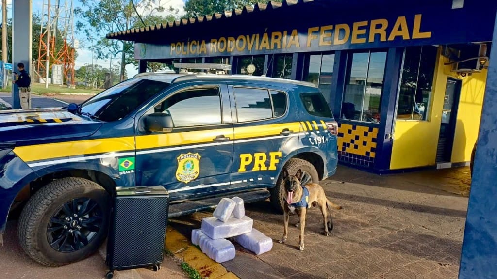 PRF apreende 24 kg de droga durante fiscalização na BR-364, em Rondonópolis (MT)