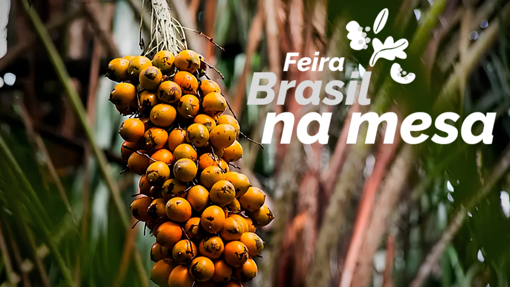 Mapa se une à Embrapa na realização da Feira Brasil na Mesa para valorizar alimentos da sociobiodiversidade brasileira