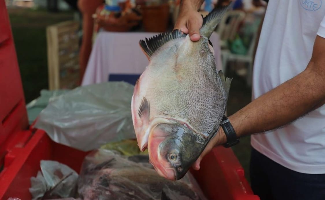 VG Santo Peixe movimenta mais de R$ 600 mil e vende cerca de 20 toneladas na Semana Santa
