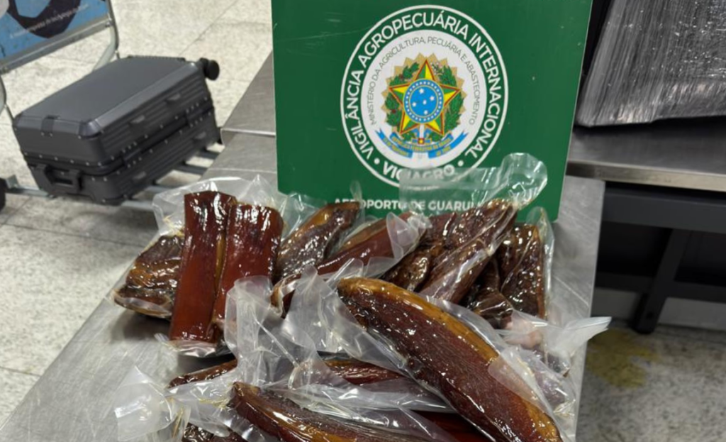 Vigiagro apreende até 270 quilos por dia de material irregular em bagagens no Aeroporto de Guarulhos