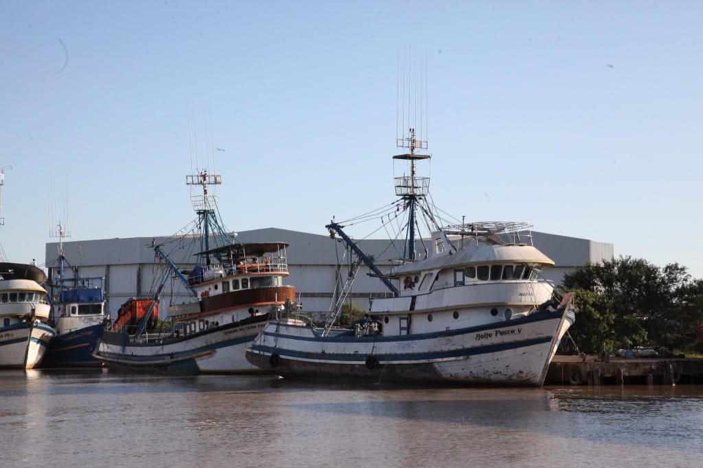 MPA reforça prazos para certificação sanitária obrigatória a bordo
