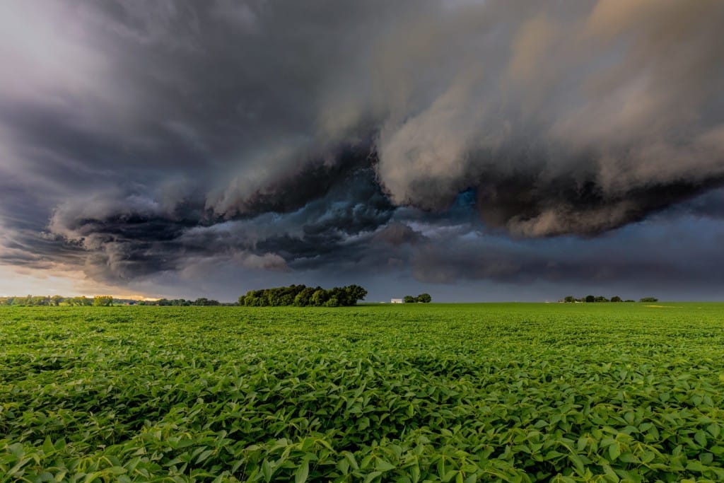 Agronegócio precisa de quase R$ 50 trilhões por ano para enfrentar as mudanças climáticas