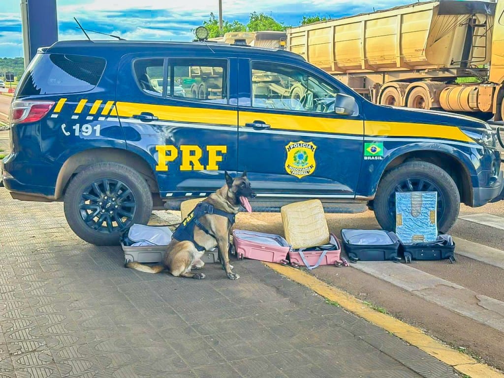PRF apreende mais de 13 kg de cocaína em duas ocorrências distintas na BR-364 em Mato Grosso