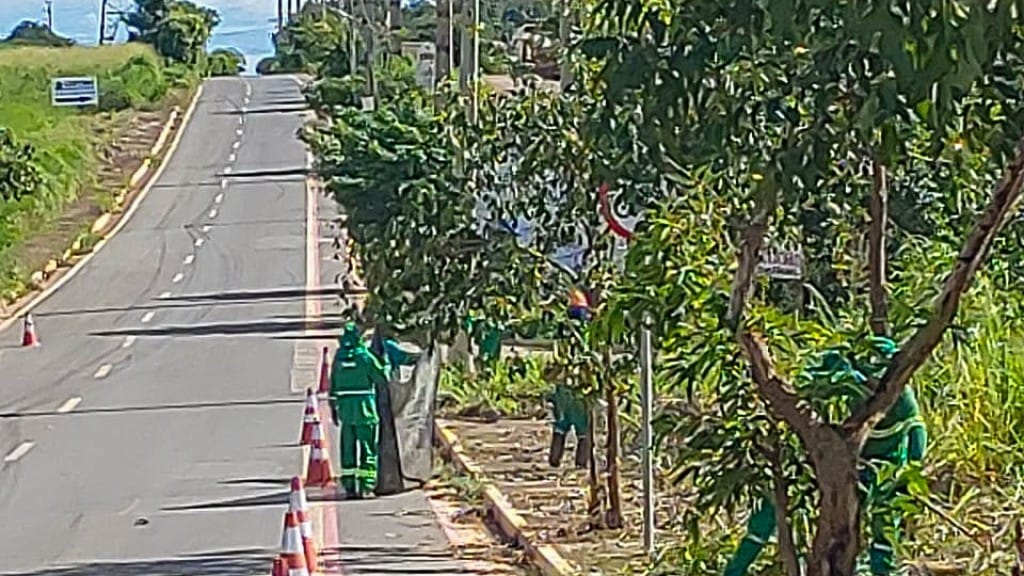 Prefeitura intensifica ações contra "bolsões de lixo" e amplia fiscalização