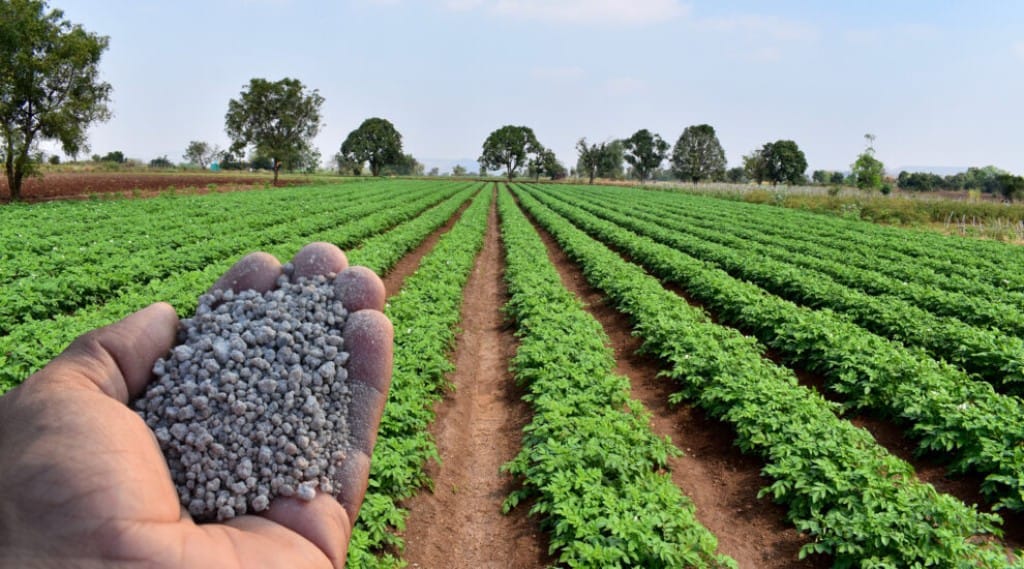 Estudo avalia que alta dos fertilizantes vai elevar custo da próxima safra