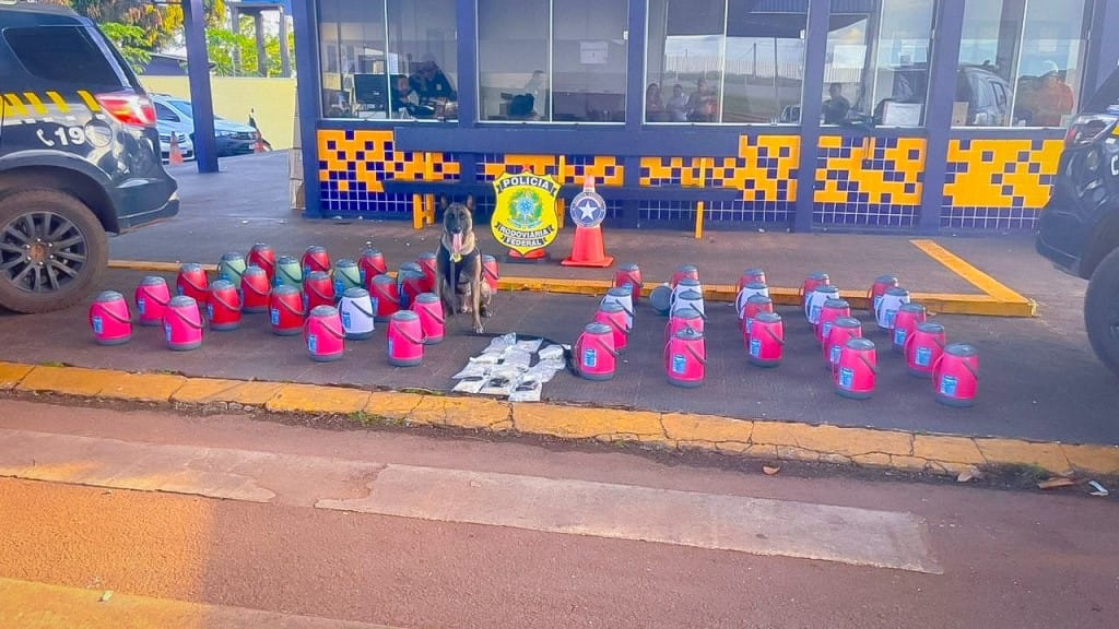 PRF apreende drogas e medicamentos em compartimento de carga na BR-163, em Rondonópolis (MT)