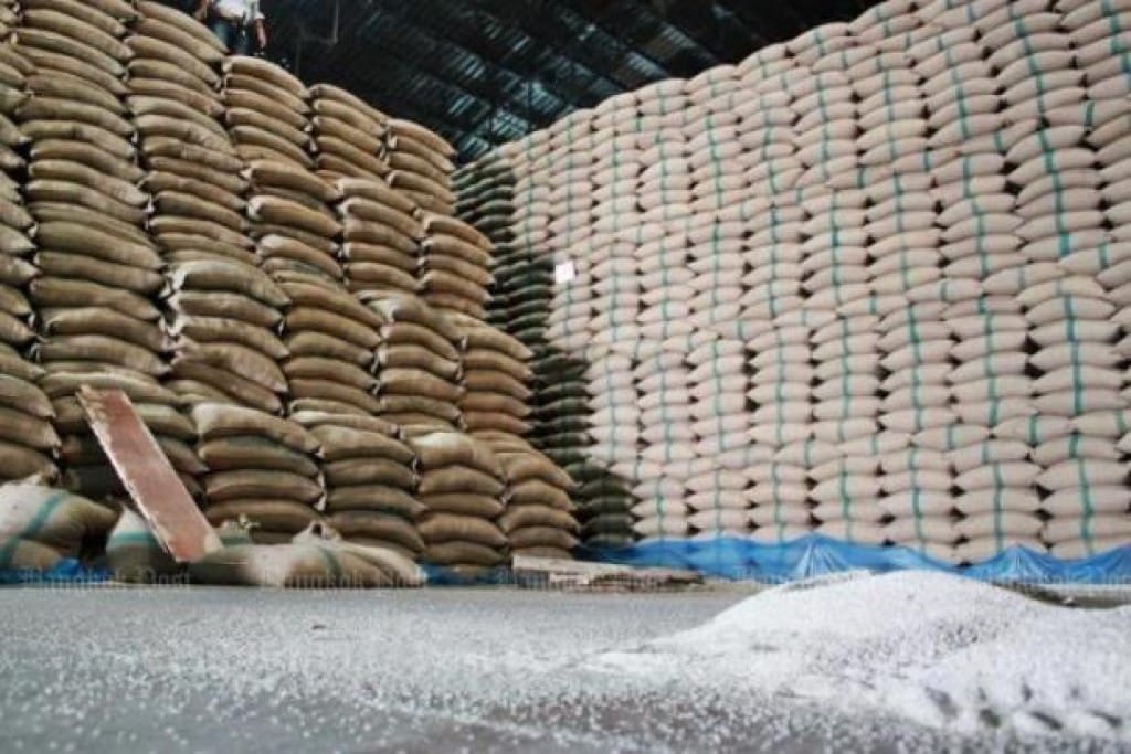 Exportações de arroz disparam no início de 2026, mas preços limitam ganhos