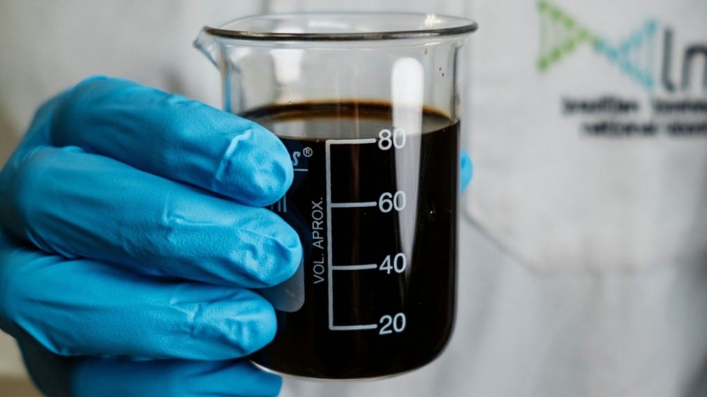 OpEn: coquetel enzimático brasileiro abre caminho para novas soluções em biorrefinarias