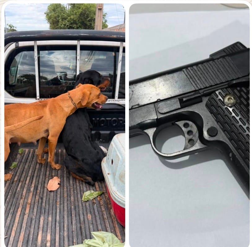 Maus-tratos a animais terminam com dois presos e resgate de quatro cães em Barra do Garças