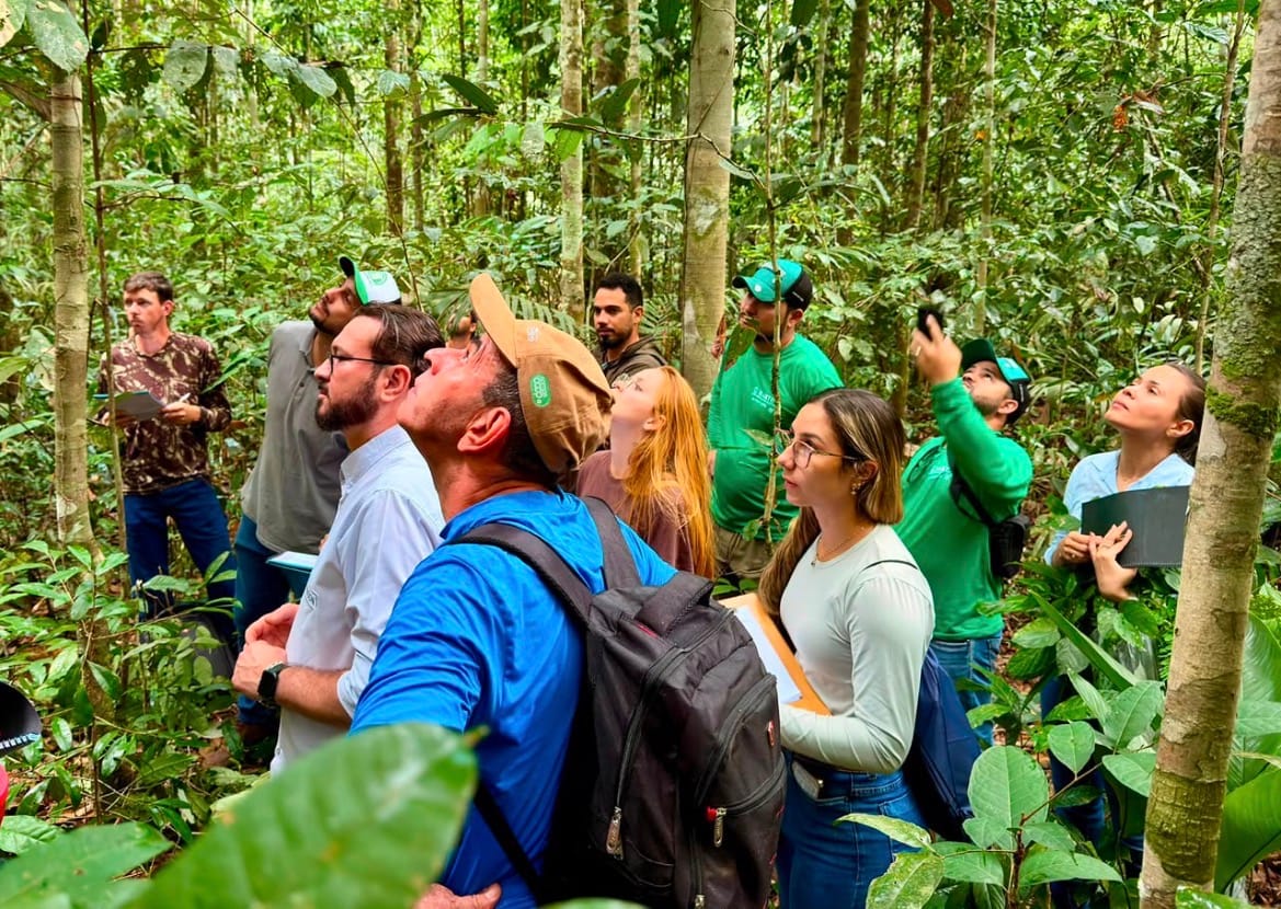 Curso pioneiro no país avança na formação de identificadores florestais com etapa prática em Juína