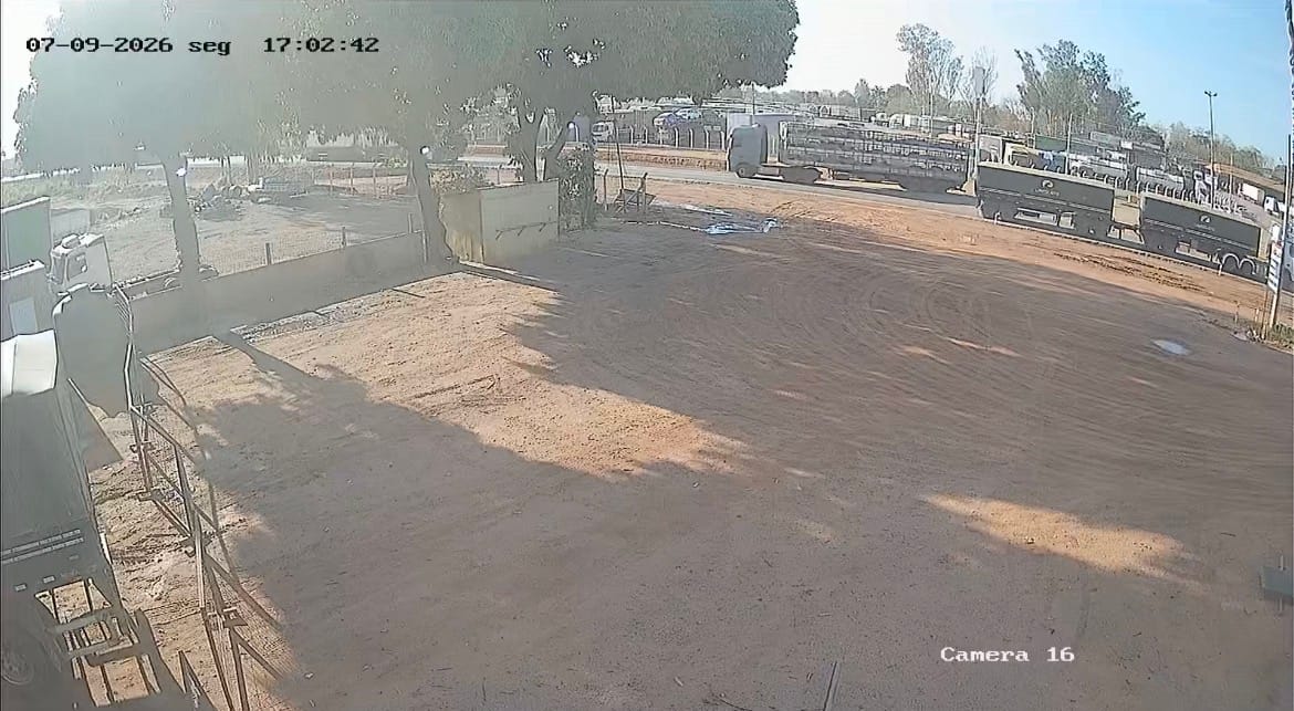 Câmera registra tombamento de carreta carregada com porcos em Várzea Grande