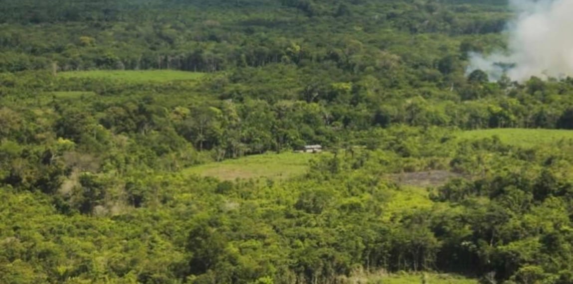 TJMT manda órgão ambiental rever bloqueio de área após ignorar laudo sobre regeneração natural