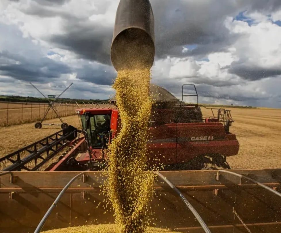 IBGE eleva safra de Mato Grosso para 114 milhões de toneladas e Estado concentra quase um terço da produção nacional