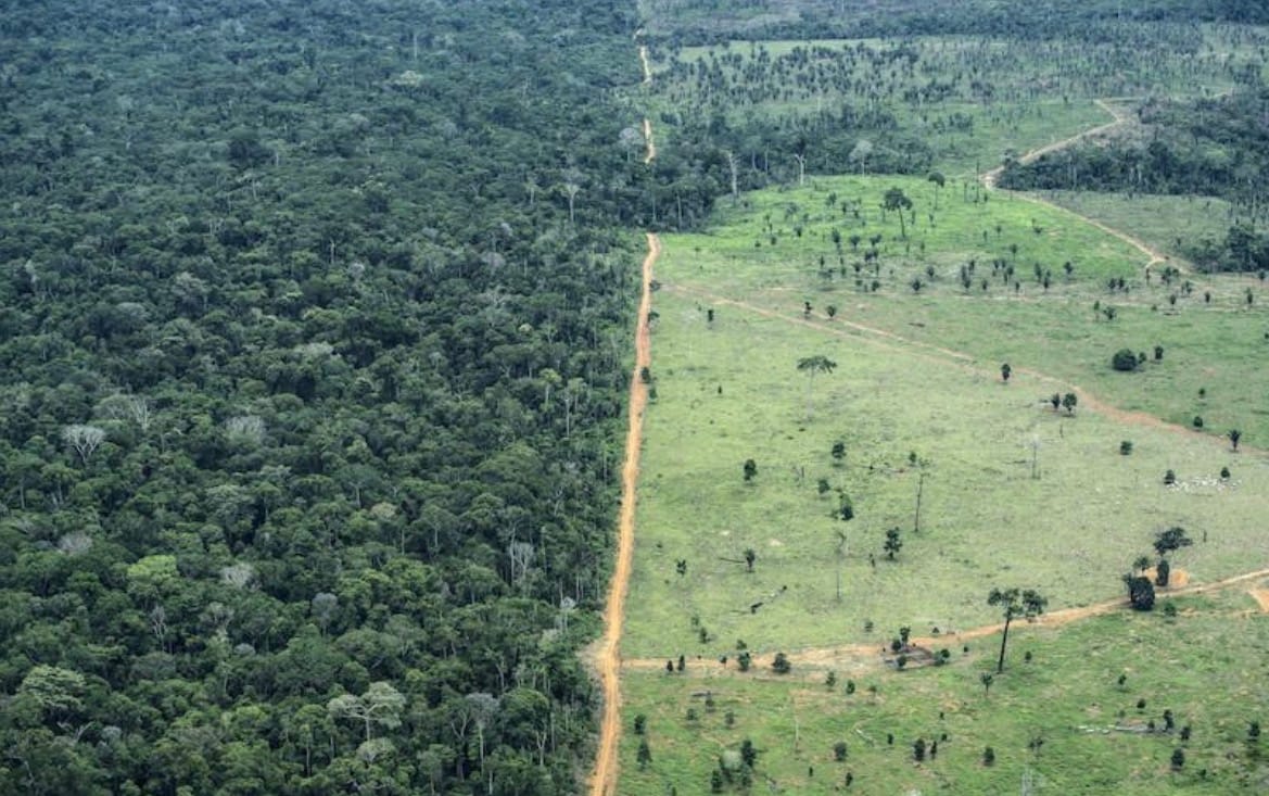 Operação aplica R$ 86,8 milhões em multas por crimes ambientais e fiscaliza mais de 10 mil hectares em MT