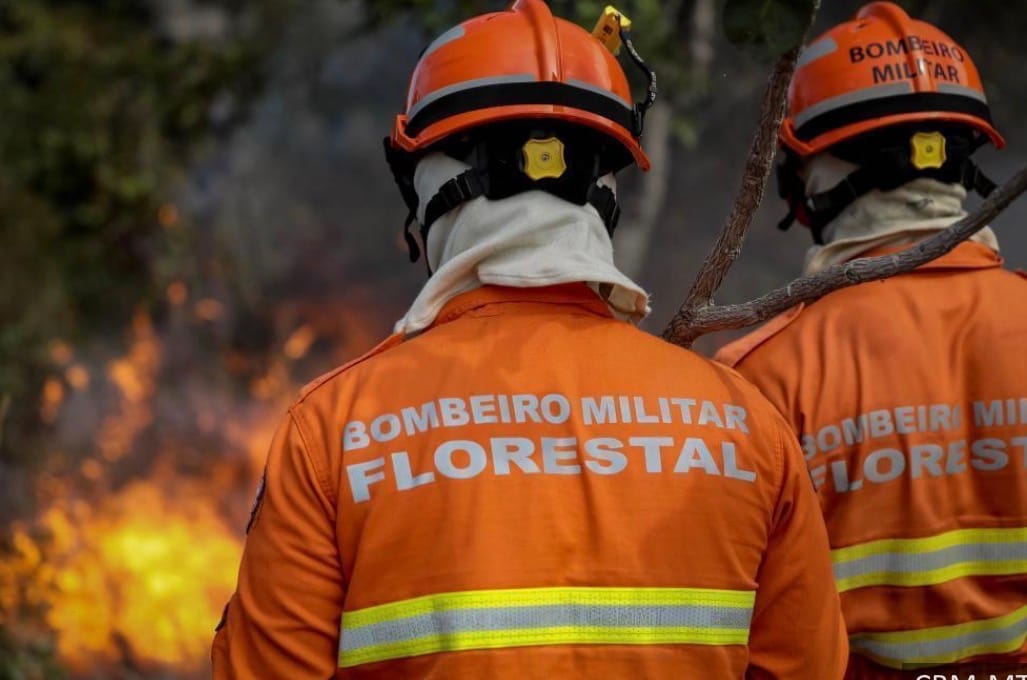Incêndios atingem três municípios de MT e estado registra 59 focos de calor em 24 horas