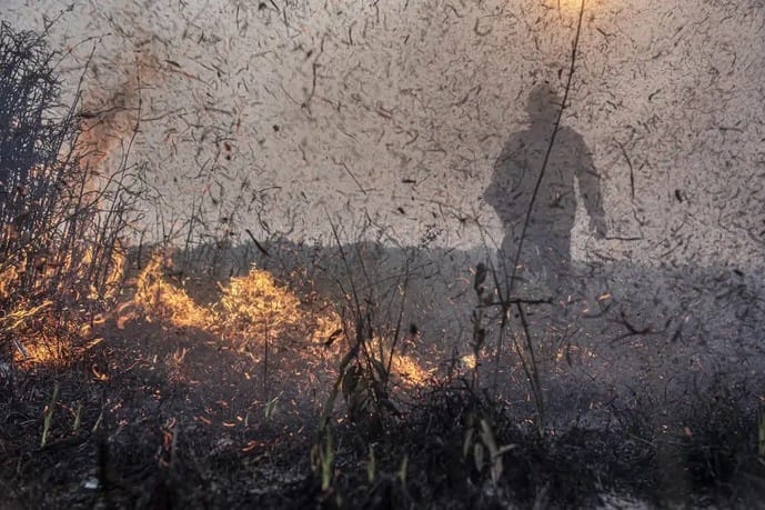 Governo Federal aprova R$ 45,2 milhões para combater efeitos da seca e das queimadas no Amazonas