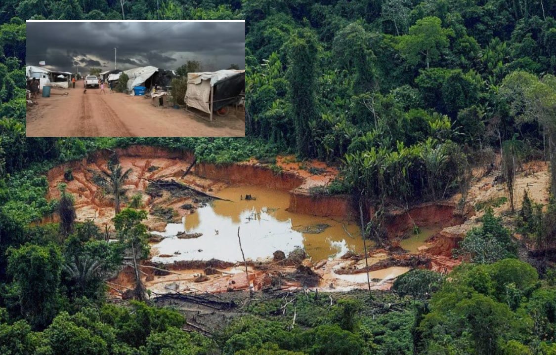 Prazo dado pela Justiça Federal para desocupar 2 mil hectares em MT entra na reta final; 74 famílias aguardam terras há duas décadas