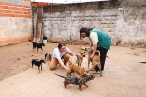 Projeto que resgata animais em Várzea Grande recebe apoio de campanha contra maus-tratos