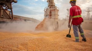 Agronegócio supera R$ 77 bilhões em março com soja e carnes na liderança