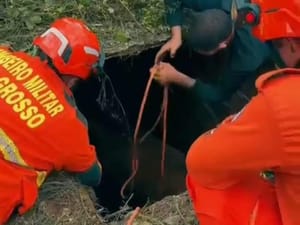 Corpo de Bombeiros resgata cavalo que caiu em fossa de três metros de profundidade