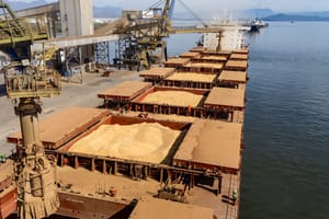 Investigação expõe disputa com China e acende alerta no mercado brasileiro