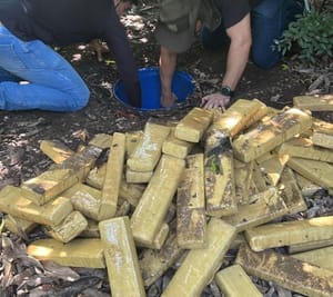 Polícia Civil prende faccionado e apreende 305 tabletes de maconha enterrados nos fundos de imóvel