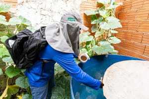 Mutirão intersetorial de combate à dengue já alcança quase 40 mil imóveis em Cuiabá