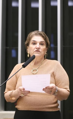 Câmara dos Deputados mobiliza Poderes e sociedade civil em debate estratégico contra o feminicídio