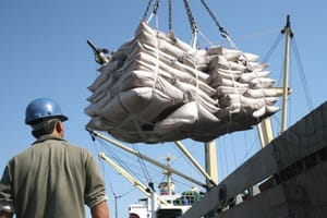 Agro brasileiro amplia exportações de carnes, frutas e insumos