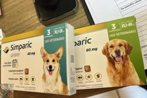 Polícia Civil mira comércio de medicamentos vencidos e maus-tratos de animais em Lucas do Rio Verde