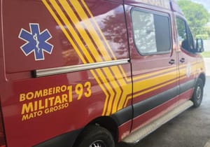 Corpo de Bombeiros reforça cuidados para evitar acidentes com escorpiões