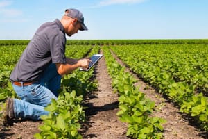 Inadimplência avança no agro e recuperações judiciais atingem pico histórico