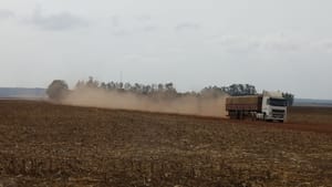 Dados do Inpe passam a ser usados para verificação de desmatamento em concessão de crédito rural