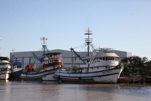 MPA reforça prazos para certificação sanitária obrigatória a bordo