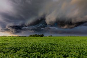 Agronegócio precisa de quase R$ 50 trilhões por ano para enfrentar as mudanças climáticas
