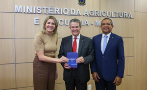Ministro André de Paula recebe representante do Instituto Pensar Agropecuária