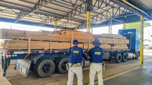 PRF apreende carga de madeira com irregularidades na BR-174 em Mato Grosso