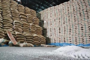 Exportações de arroz disparam no início de 2026, mas preços limitam ganhos