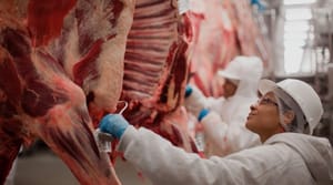 Decisão da União Europeia anunciada nesta semana coloca pecuária em alerta e pode gerar impactos bilionários no agro