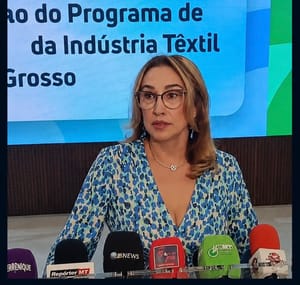 Programa do Governo para indústria têxtil anima setor e promete fortalecer cadeia produtiva do algodão em Mato Grosso