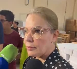 Paula Calil diz CPI da Educação esbarra em limite regimental, e dispara “Compraram livros de informática sem laboratório”