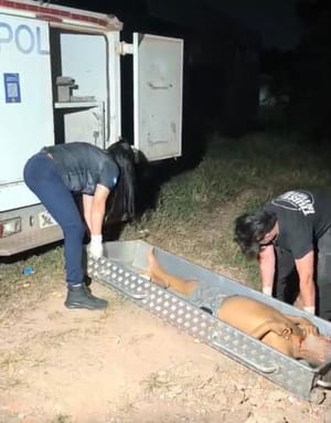 Idoso de 63 anos morre após passar mal em encontro com acompanhante em VG