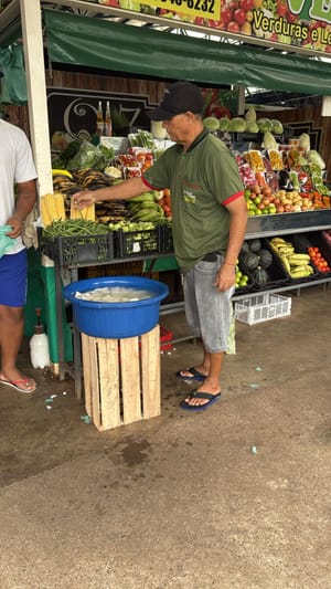 Governo de Mato  Grosso lança edital de R$ 76,7 milhões para impulsionar agricultura familiar