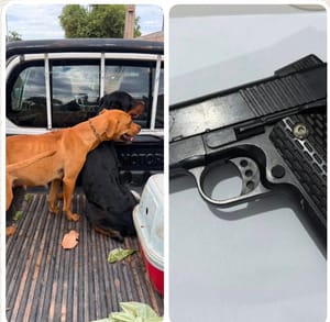 Maus-tratos a animais terminam com dois presos e resgate de quatro cães em Barra do Garças